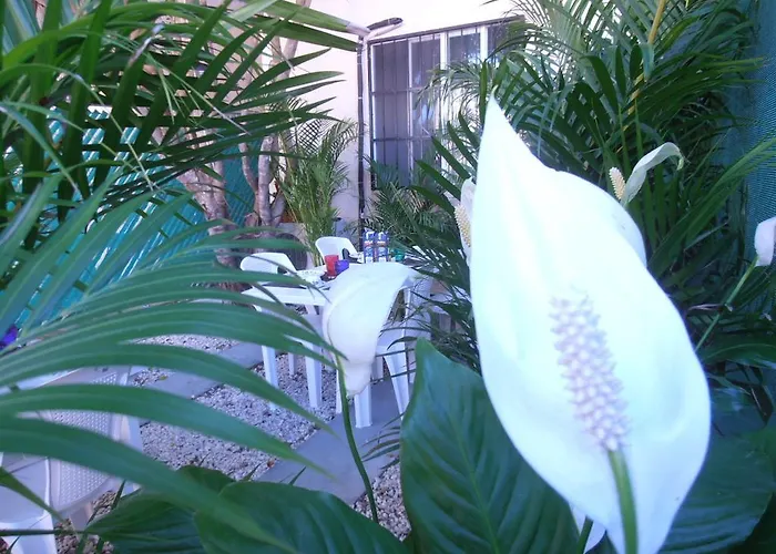 Iguanaplaya B&B *