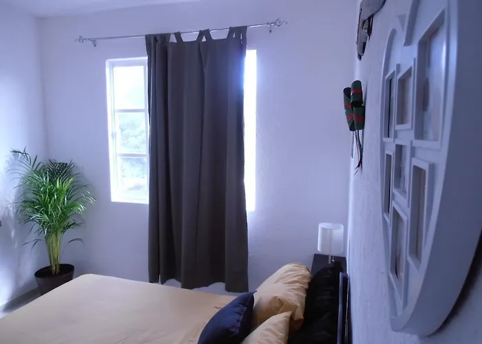 Iguanaplaya B&B Acomodação com café da manhã  *