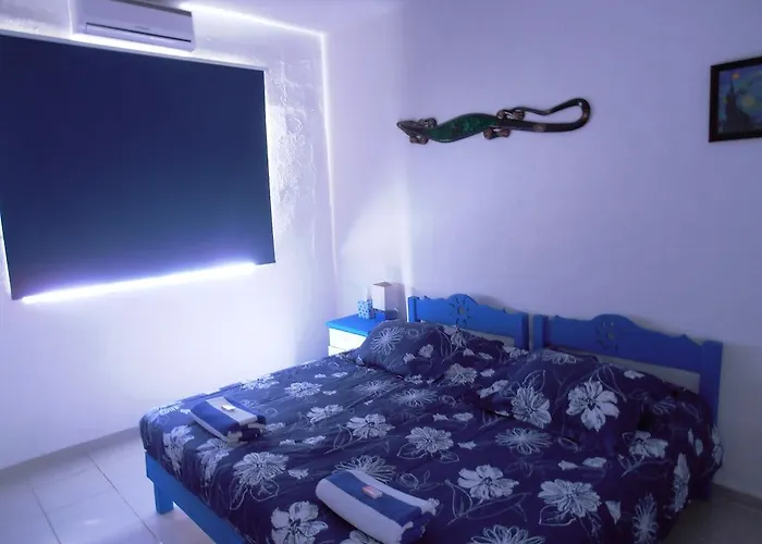Acomodação com café da manhã  Iguanaplaya B&B *